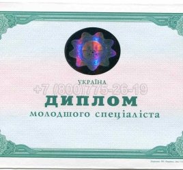 Диплом Техникума Украины 2004г в Омске