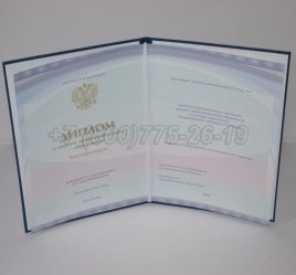 Диплом Колледжа 2022г Киржач в Омске